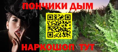 амф Дубна