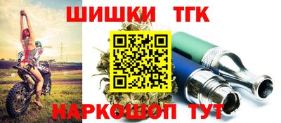 амф Дубна