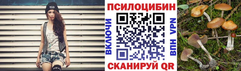 Галлюциногенные грибы Cubensis  нарко площадка Telegram  Малгобек 